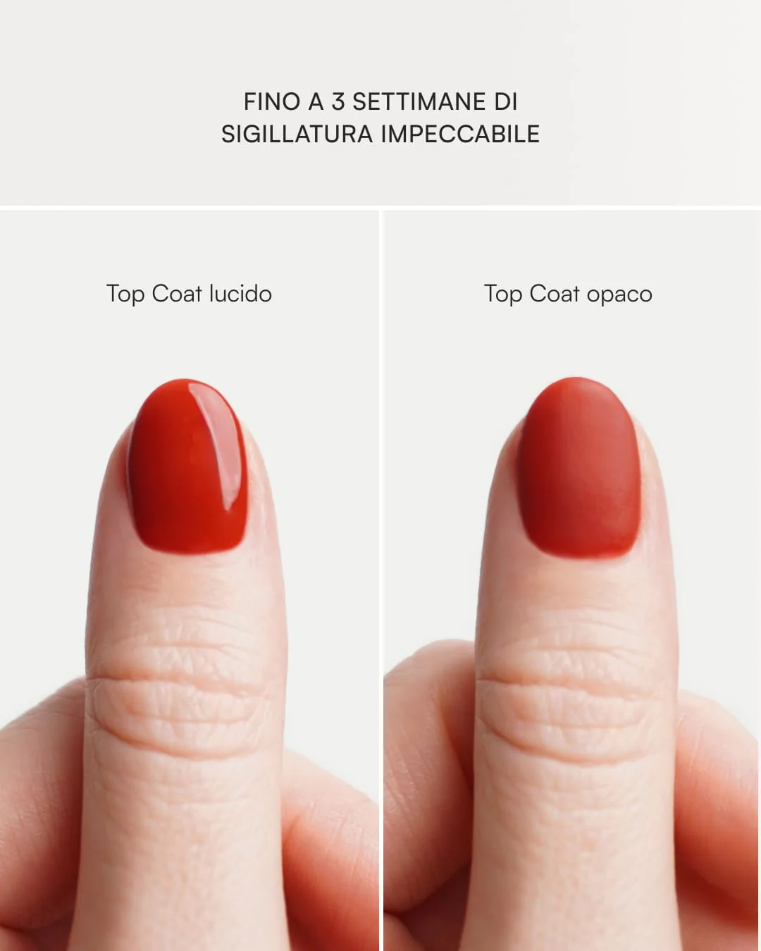 Top Coat - Image 6