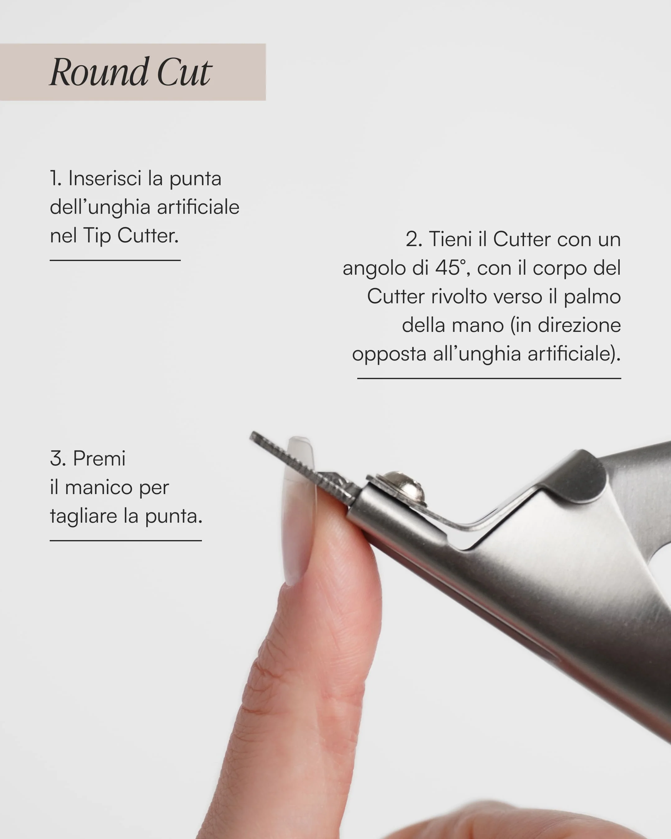 Taglia Tip - Image 5