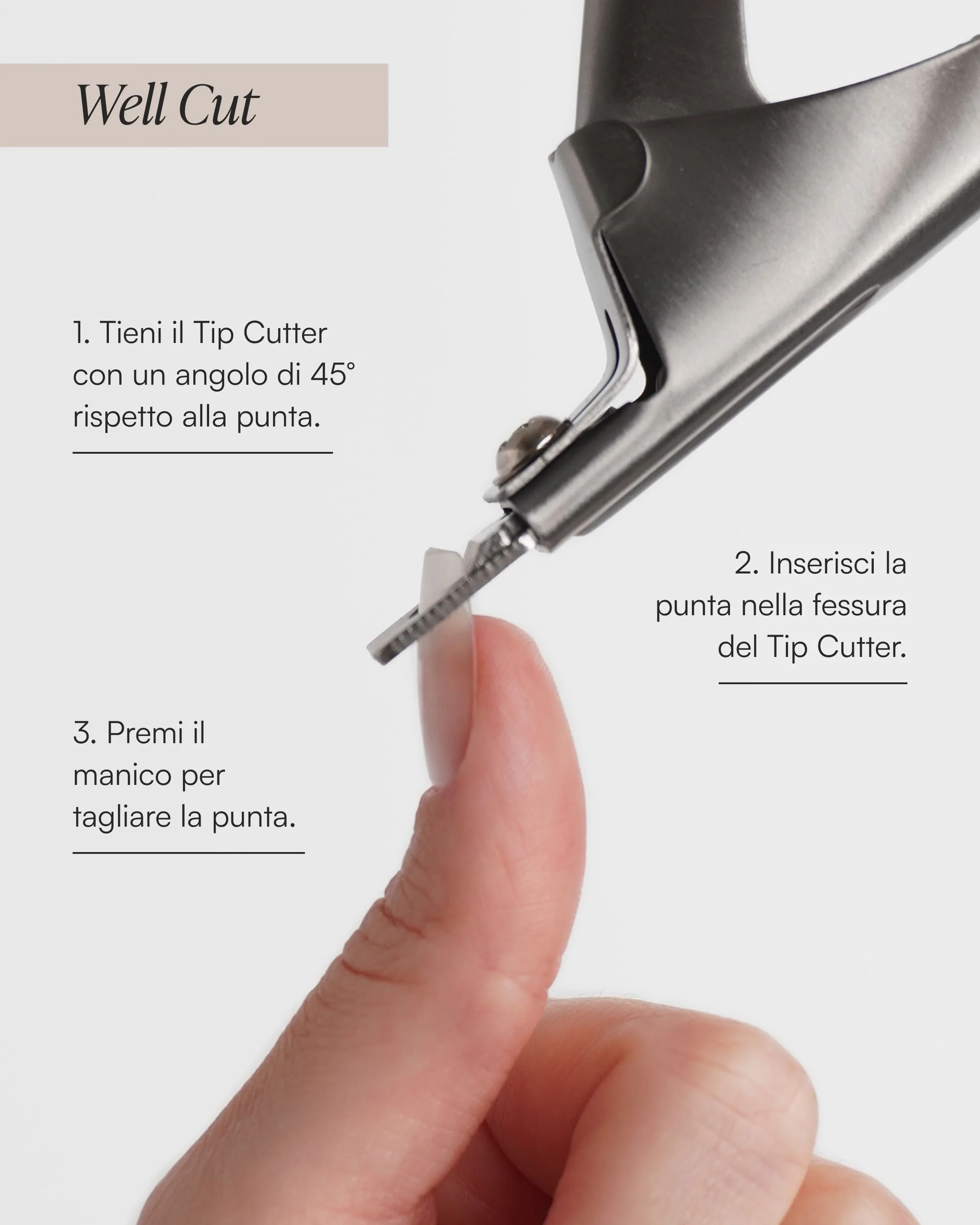 Taglia Tip - Image 7