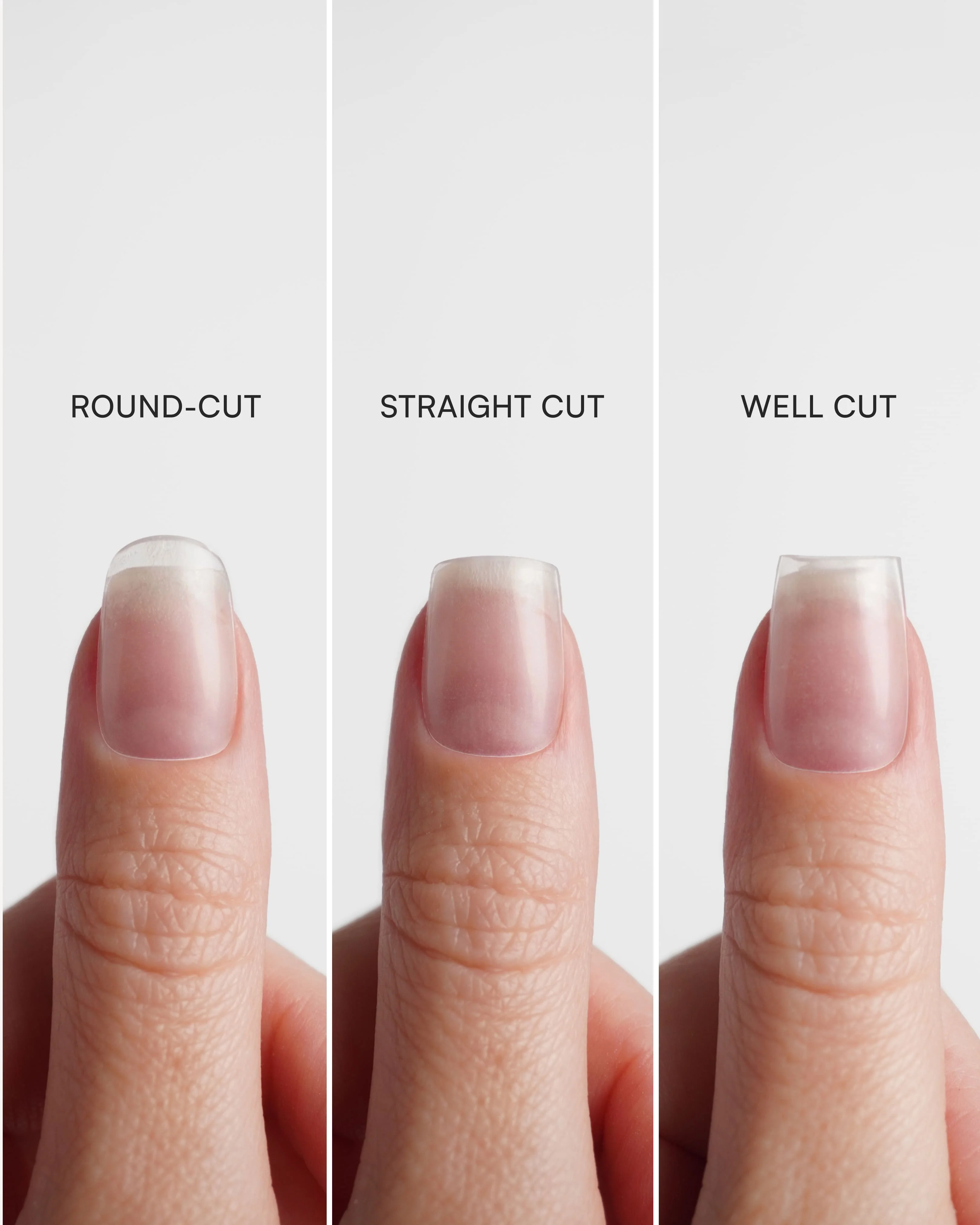 Taglia Tip - Image 8